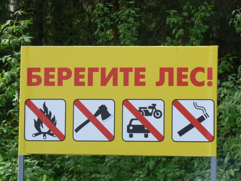К природе надо относиться бережно