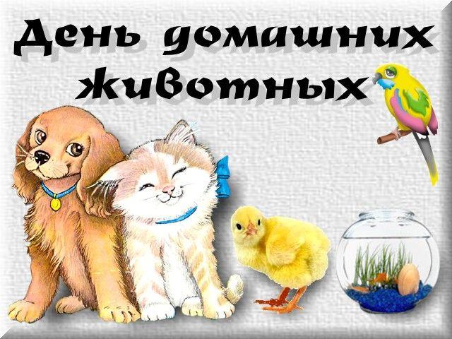 И вновь о братьях наших меньших
