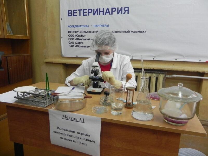 «Молодые профессионалы»