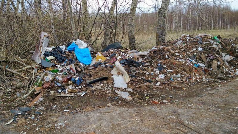 Жителей просят сообщать о стихийных свалках
