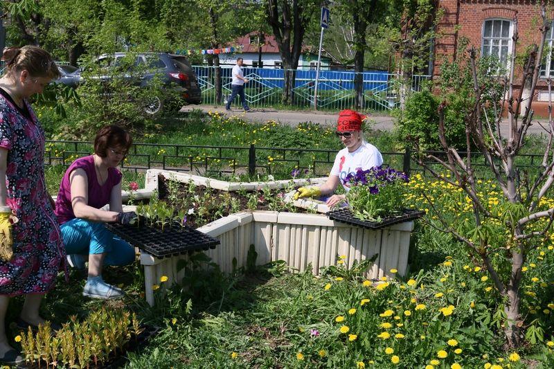 посадка цветов