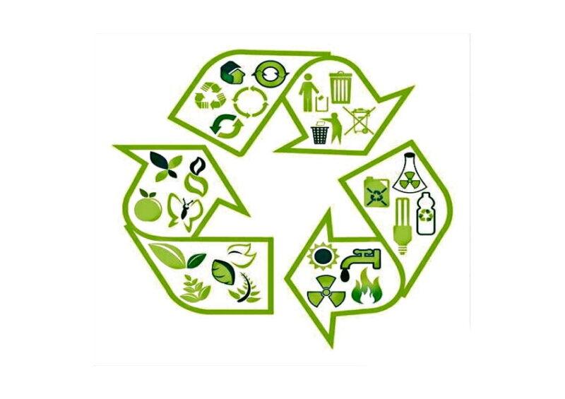 На заседании регионального правительства обсудят реализацию мероприятий по охране окружающей среды