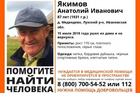 В Ивановской области пропал 87-летний дедушка