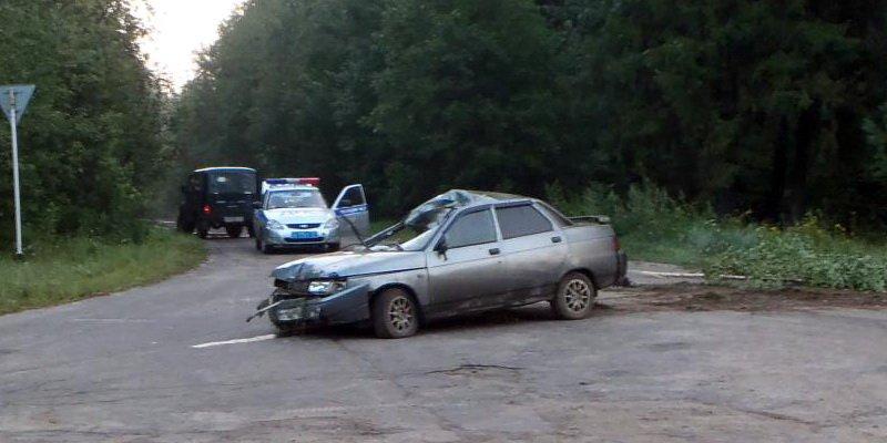В Юрьевецком районе лось погиб под колесами авто
