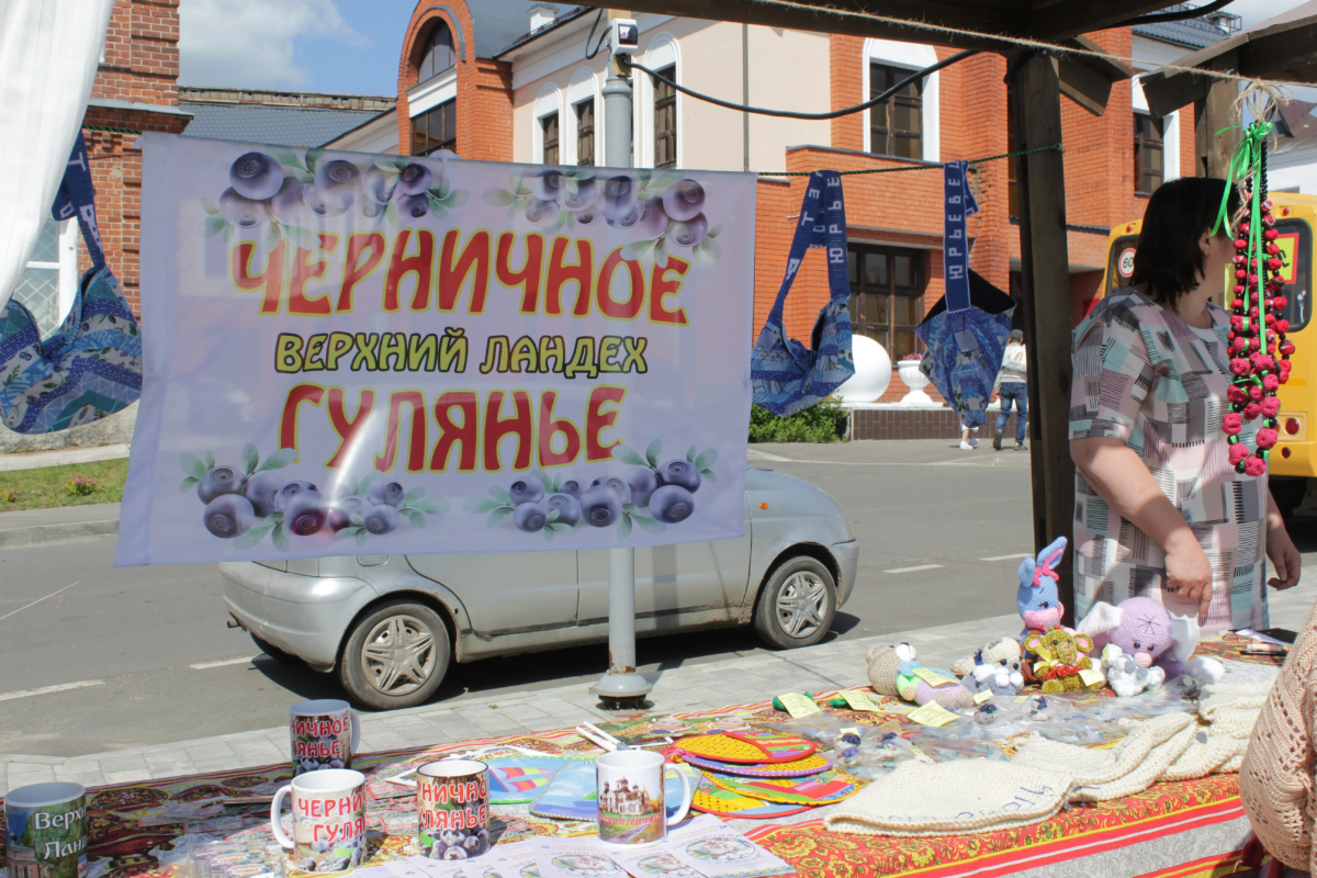 Верхний Ландех – черничная столица