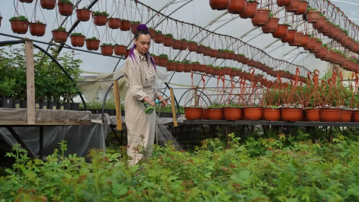 Почти 700 млн рублей господдержки получили аграрии Ивановской области с начала года