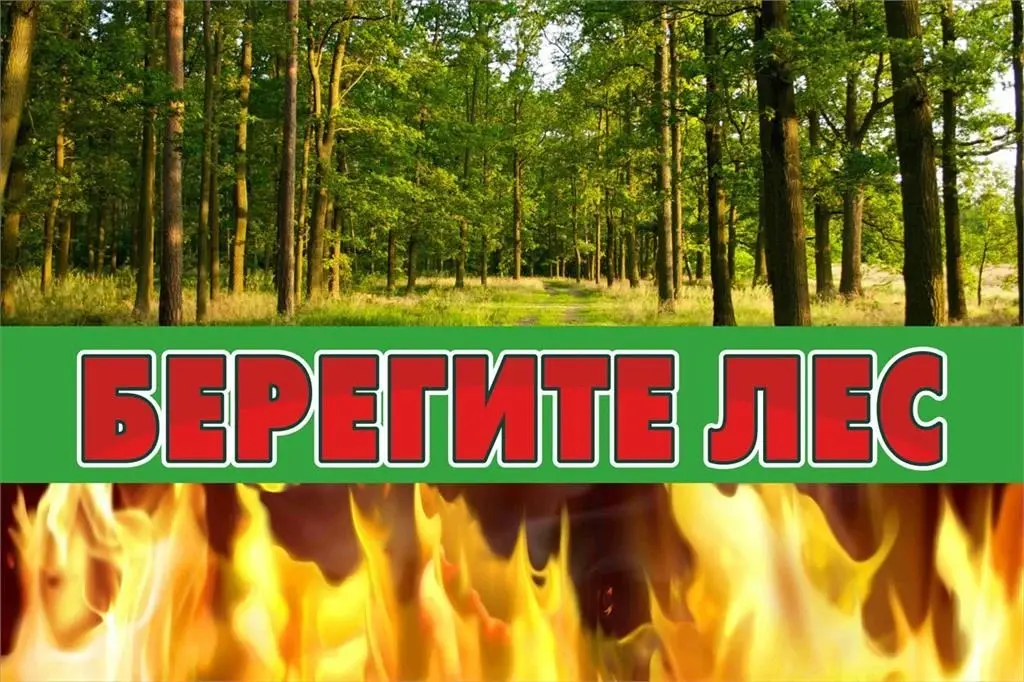 Лесные пожары – это одно из наиболее опасных стихийных бедствий